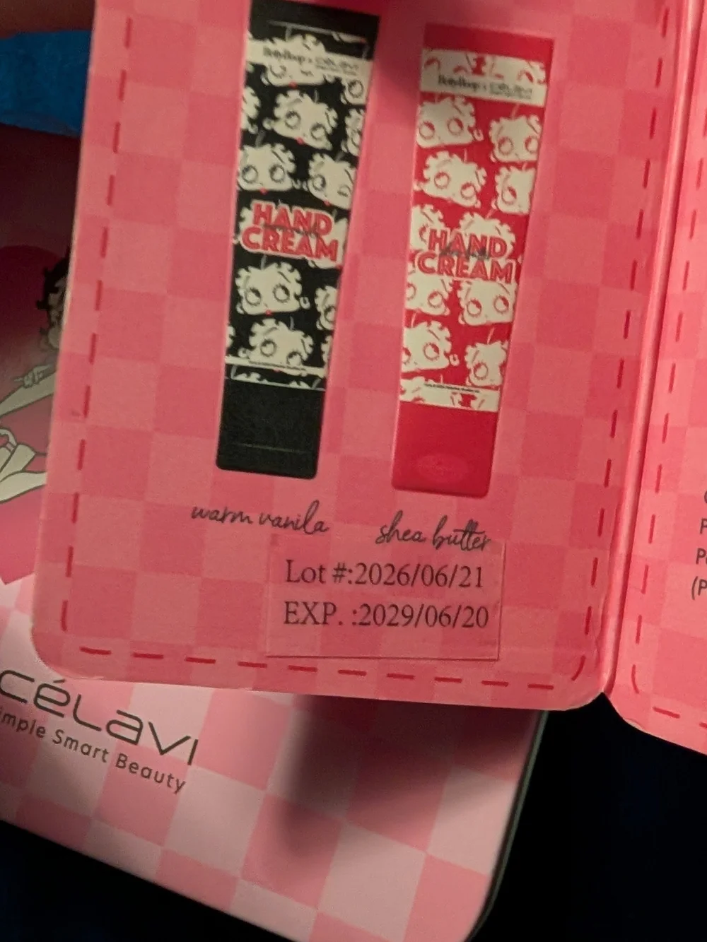 New Small Betty Boop Pink Checker Cosmetic Case with Heart Graphic